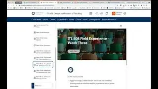 ITL 608 Week 3 Overview