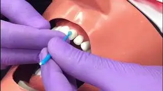 Silano Primedent - Biotech ltda
