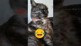 Умывака