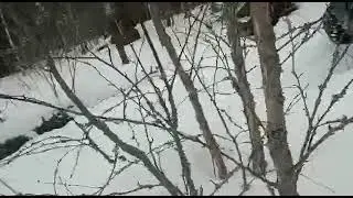 диагоналка