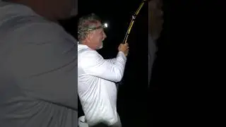 Sturgeon Hooked! Watch the full video!  Like and Subscribe! #fishing  #outdoors #riverraftting