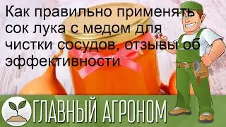 Как правильно применять сок лука с медом для чистки сосудов, отзывы об эффективности