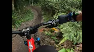 carbonera