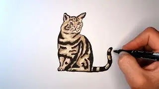 Как нарисовать Кошку | How to draw a Cat