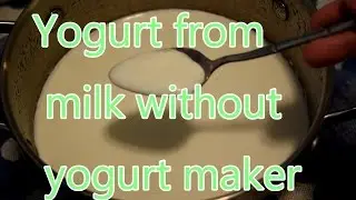 Diy Yogurt Recipe - How to Make Homemade Yogurt from Milk at Home without Yogurt Maker