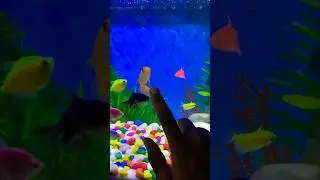 🐠🐠Inko Dekh Ke Maza Aa Gaya 😍#fish #fishing #shorts #minivlog