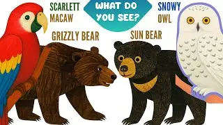 Compilation of Grizzly Bear What Do You See? Sun Bear, Snowy Owl & Scarlett Macaw | Animal Songs