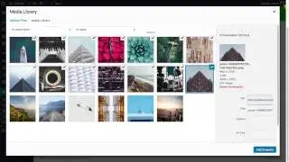 Modula Photo Gallery for WordPress Tutorial