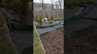 Обход владений 