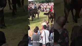Рыцарский Фестиваль в МСТИСЛАВЛЕ