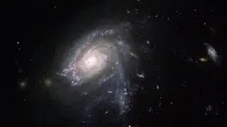 Pan: Ghostly galactic jellyfish