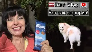 My Dog My Indicator 🐕 Bad Products 🧀 Ruta Vlog 🇱🇻 @HozajushkaRuta @RutaLutkevica