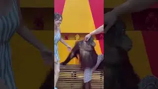 Лучшая работа в мире