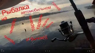 Рыбалка на автомобильном пляже (вырва) тарань пришла!