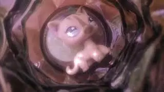 ~LPS MV:засыпай🥟✌️~