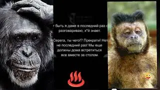 Поздно дошло.