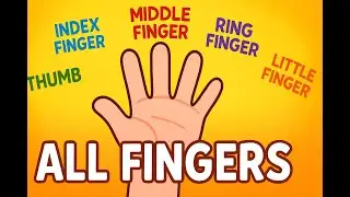 👋 Learn All About Fingers! | Thumb, Index, Middle, Ring & Little Finger for Kids