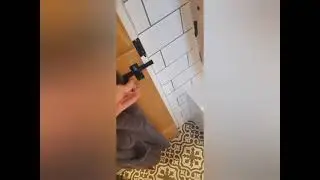 Эти животные заставят тебя улыбнуться | смешные коты
