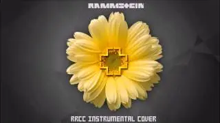 Rammstein - Heirate Mich (instrumental cover)
