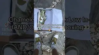 CHAMELEON SB DUNK LOW IN HAND/ON FEET UNBOXING👀🔥 #sneakers #sbdunks