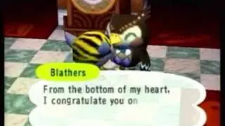 Animal Crossing - Museum Complete!