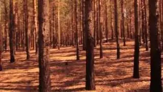 HSV - Озеро (Official Music Video)