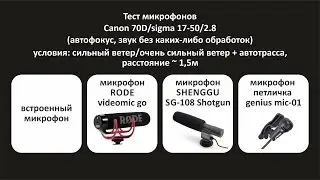 Тест микрофонов на Canon 70D. Rode Go