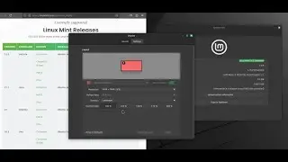 How to fix Linux Mint 21 2 Victoria missing monitor scale options after upgrade