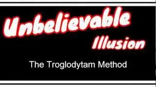 Unbelievable Illusion
