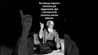 Законы #высказывание #цитата #умное #веселое #смешное #интересное