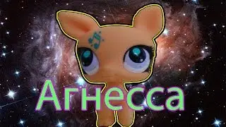 "Лучший клип!":АГНЕССА! ГОЛОСУЙТЕ! №3