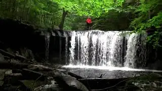 Ricketts Glen Falls - June 12, 2022