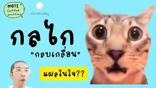 Level of Consciousness : MBTI ช่วยให้ใจใสๆ ยอมรับตัวตนจริงๆ : ilovetoday วันนี้ดีที่สุด