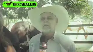 Lo que no sabias del frison
