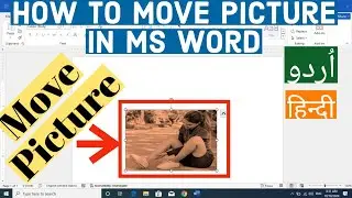How to Move a picture in Ms Word | How to drage picture in Ms Word