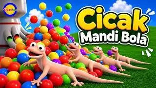 Cicak Mandi Bola Warna Warni (Belajar Mengenal Warna untuk Balita) - Video Edukasi Anak Indonesia
