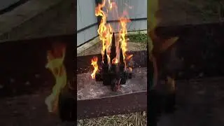 Москва горы й не гасни! На Каву 4149 4996 5201 1667