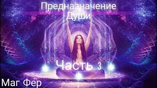 Стрим с регрессологом  Часть 3
