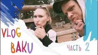 vlog Baku : 2 часть | старый город | зоопарк | Венеция