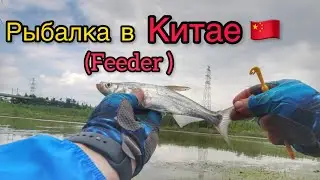 Рыбалка в Китае на Фидер! Рыбалка для души!