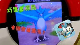 [阿牛夫妻VLOG] #3 pokemontretta 第十彈  伊布大會師  巧遇四星急凍鳥！有機會嗎？？？