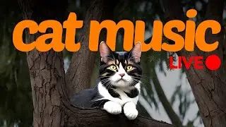 [LIVE] Music for Cats | 24/7 Relaxation Therapy Sounds for Cats