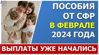 Пособия на детей уже приходят в ФЕВРАЛЕ 2024 года