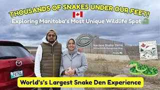 We Visited the World’s Largest Snake Gathering 😳🐍 | Our Narcisse Experience