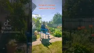 Соседи приехали из города