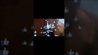 Coité 😂eu 🐤🦉 filhotes na coleta do leite
