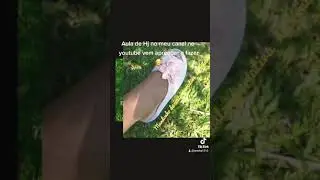 olha que linda vem ver !😍🥰🥰