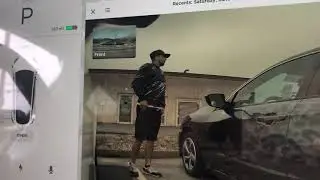 Car Theft Caught on Tesla Sentry Mode