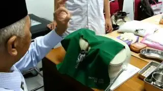 VIA exam - Skills Lab (Indonesian language)