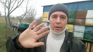 12/7/2023 It got colder, the bees are in the club